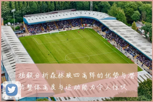 杨毅分析森林狼四高阵的优势与潜力整体高度与运动能力令人惊叹