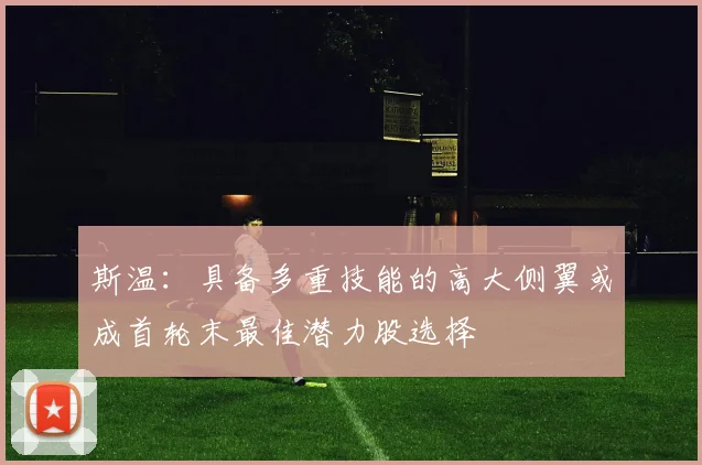 斯温：具备多重技能的高大侧翼或成首轮末最佳潜力股选择